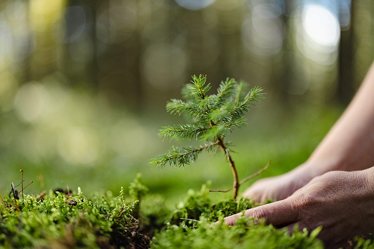 Dedication to Corporate Social Responsibility
